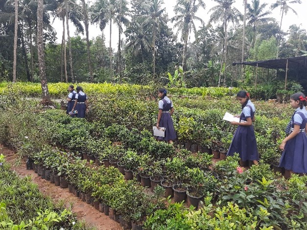 Agriculture visit to Samrudhi Nursery