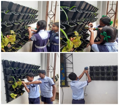 Gardening